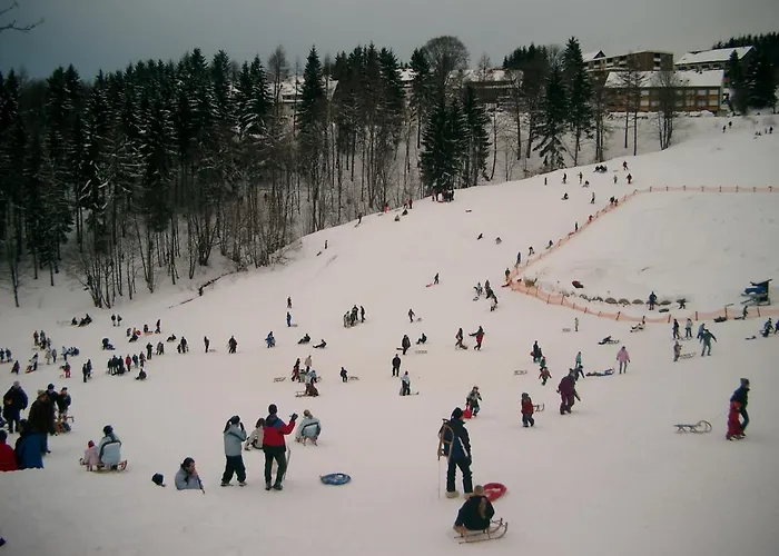 Daire Haus Jasmin Sankt Andreasberg